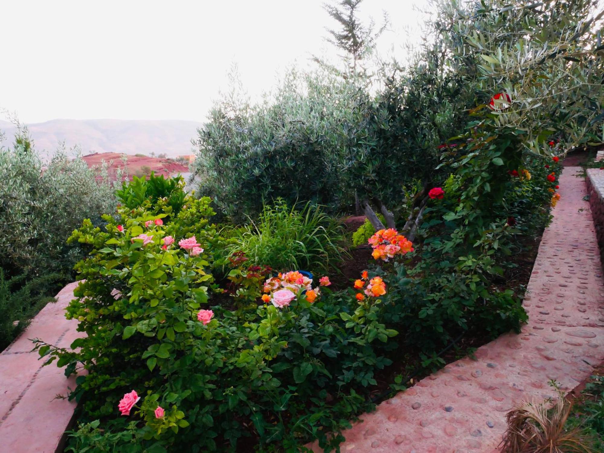 House Of Dreams In Holiday home Bin El Ouidane